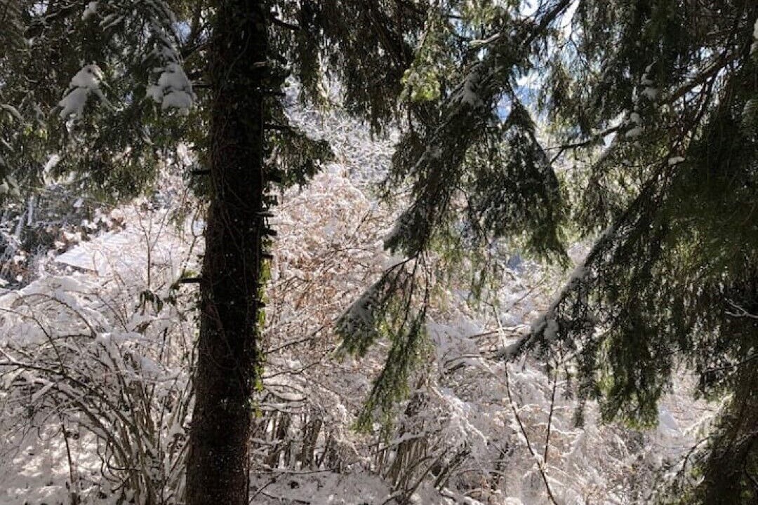 Photo of Outdoor in San Lorenzo in Banale