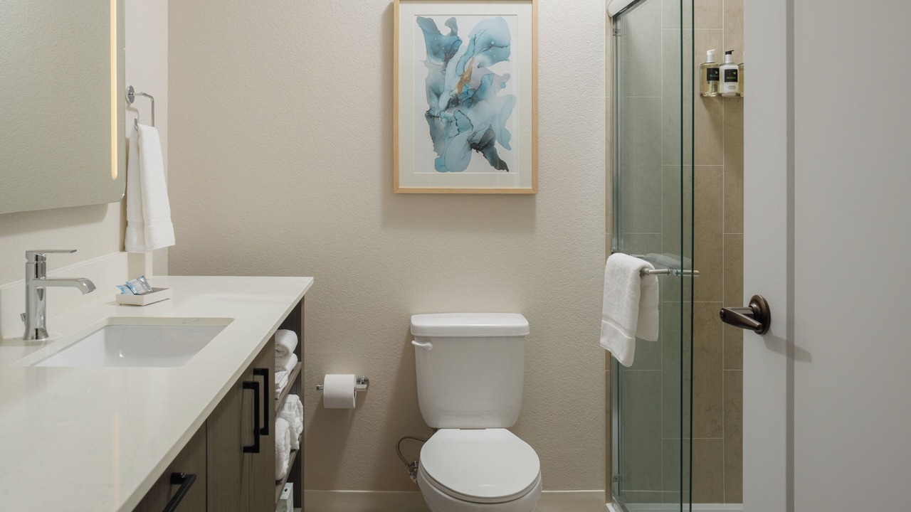 Photo of Bathroom in South Park
