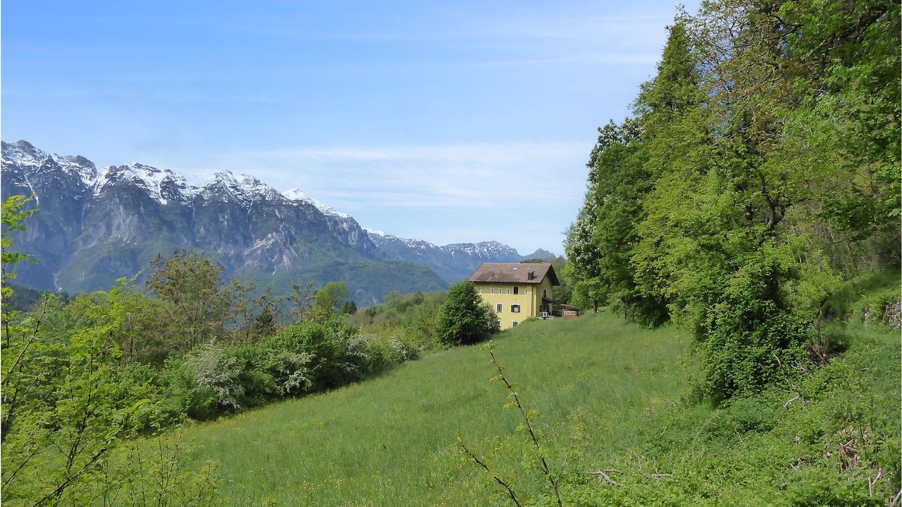 Photo of Outdoor in Bieno