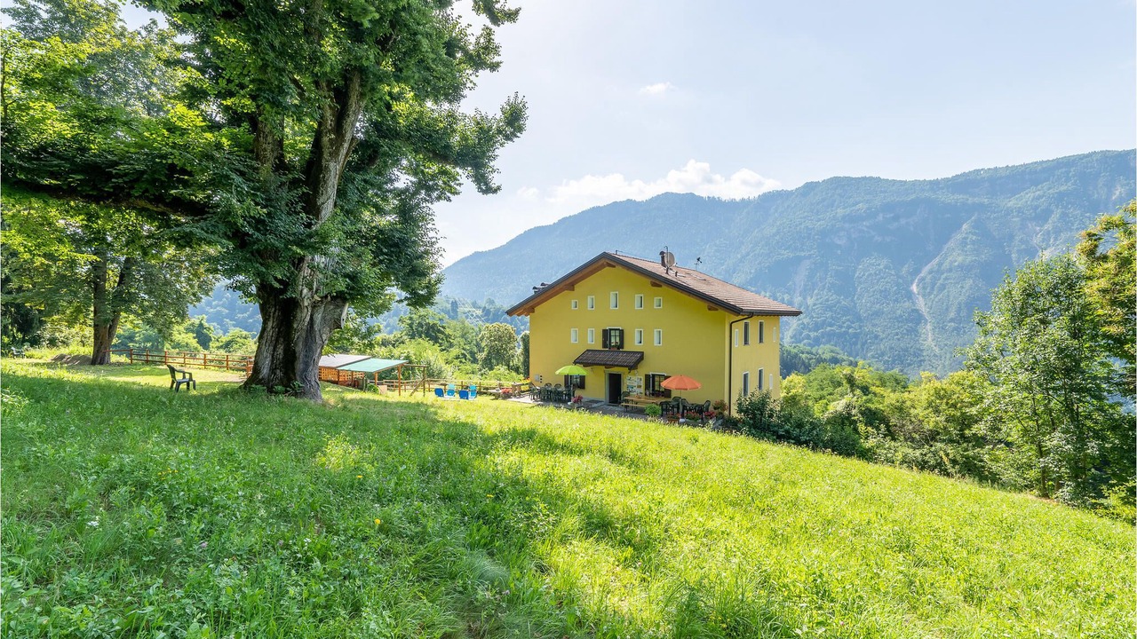 Photo of Outdoor in Bieno