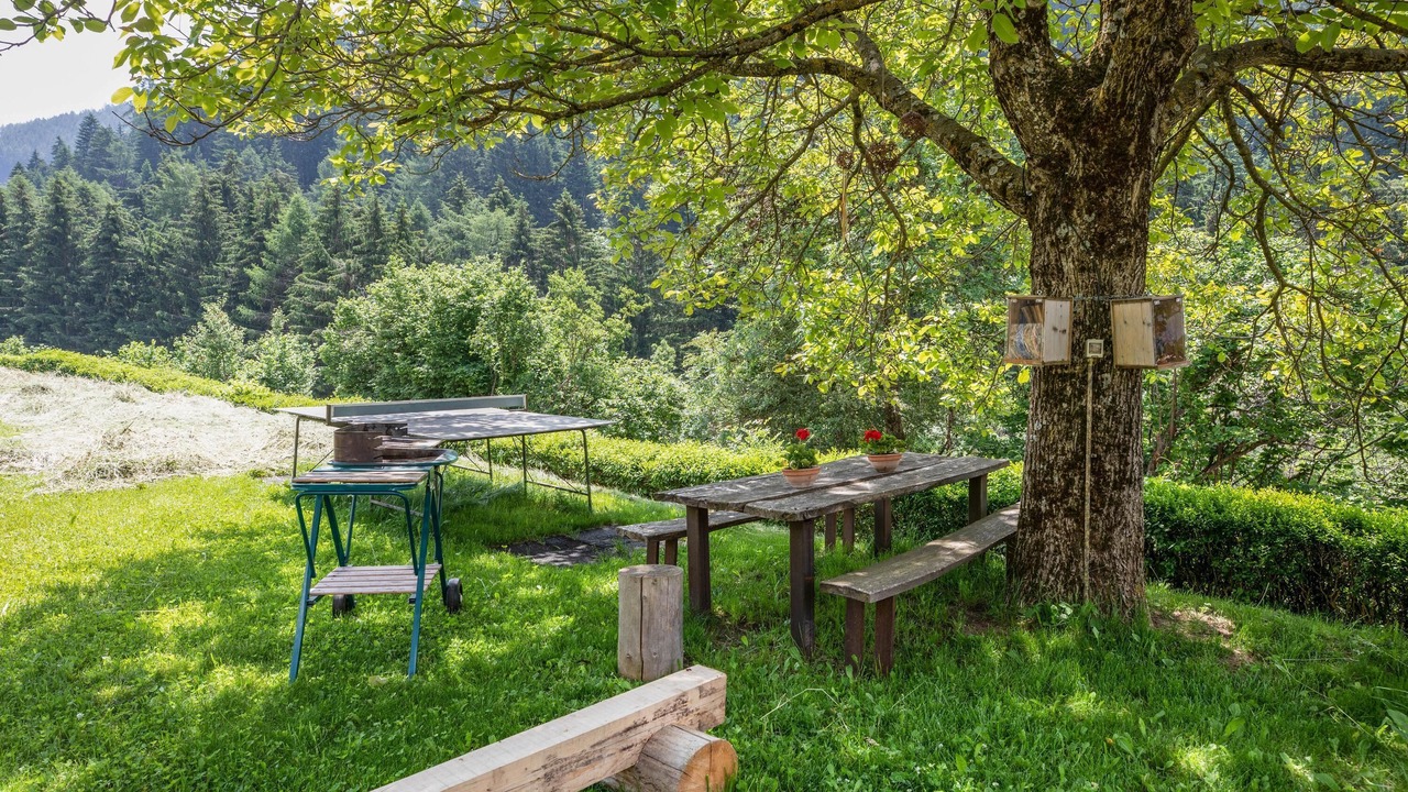 Photo of Outdoor in Trodena