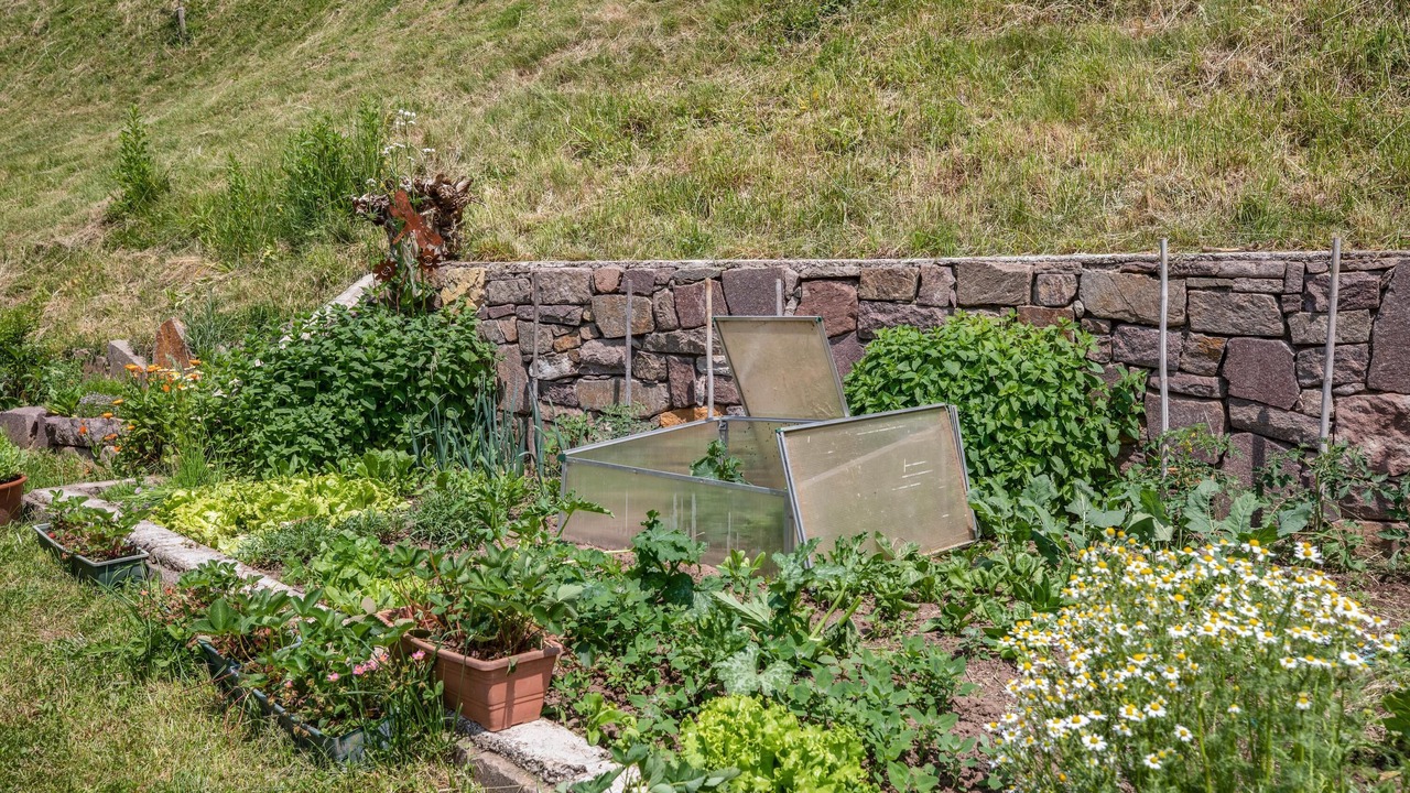 Photo of Outdoor in Trodena