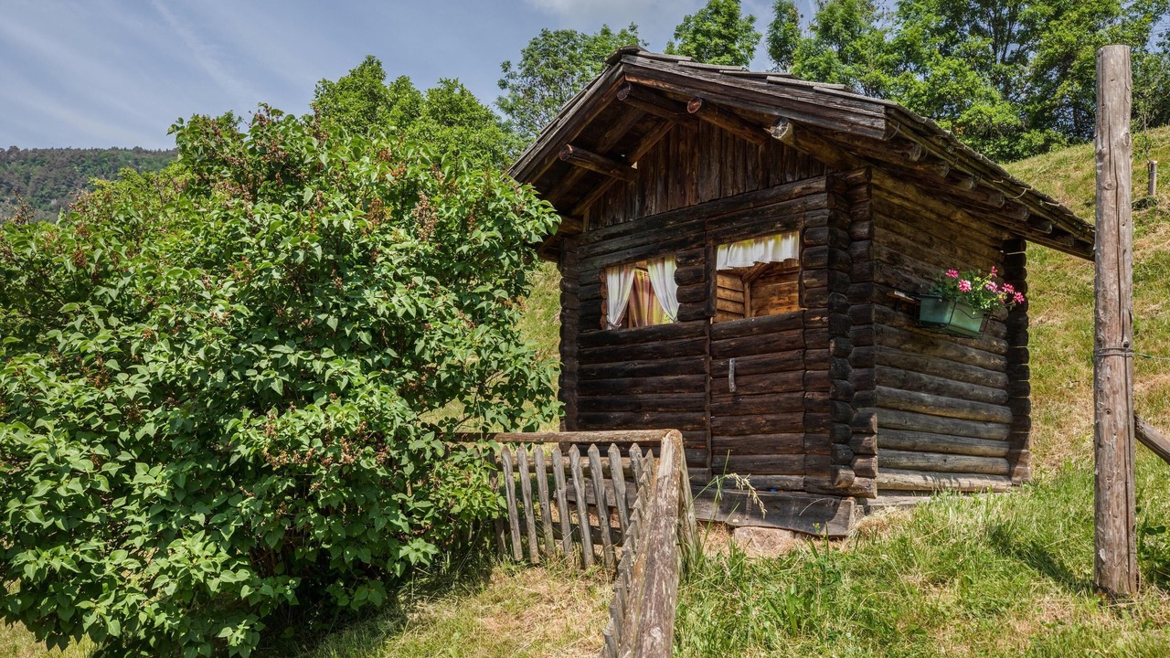Photo of Outdoor in Trodena