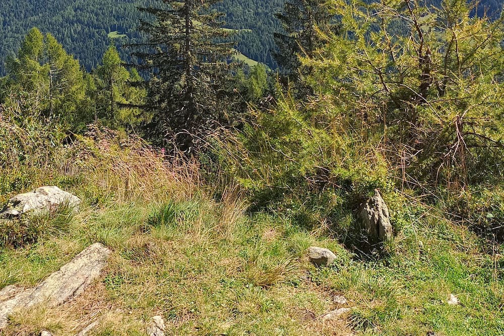 Photo of Outdoor in Canal San Bovo