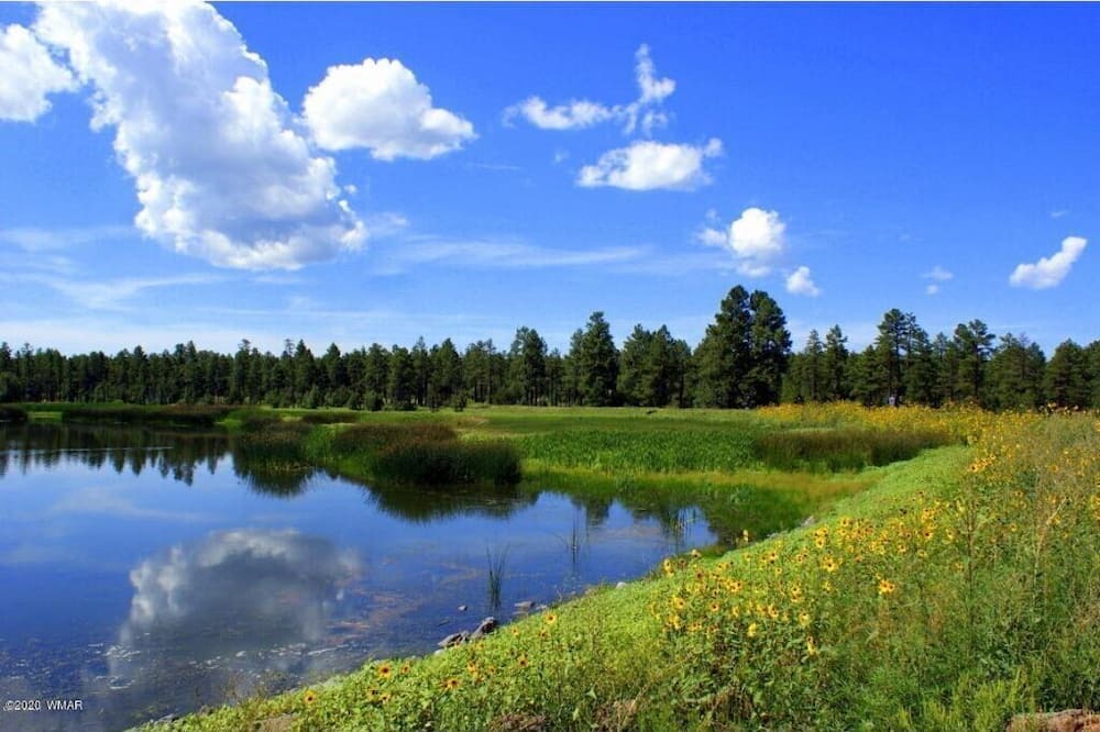 Photo of Others in Pinetop
