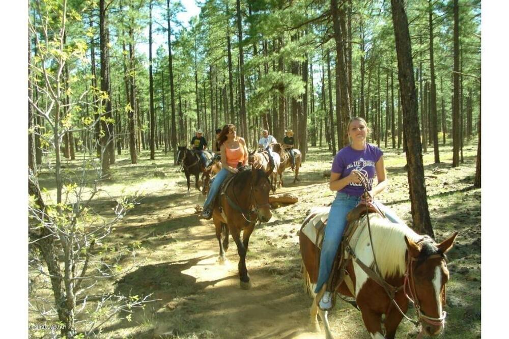 Photo of Others in Pinetop
