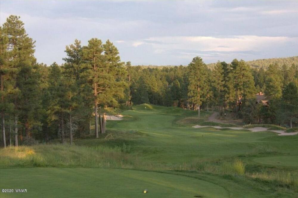Photo of Others in Pinetop