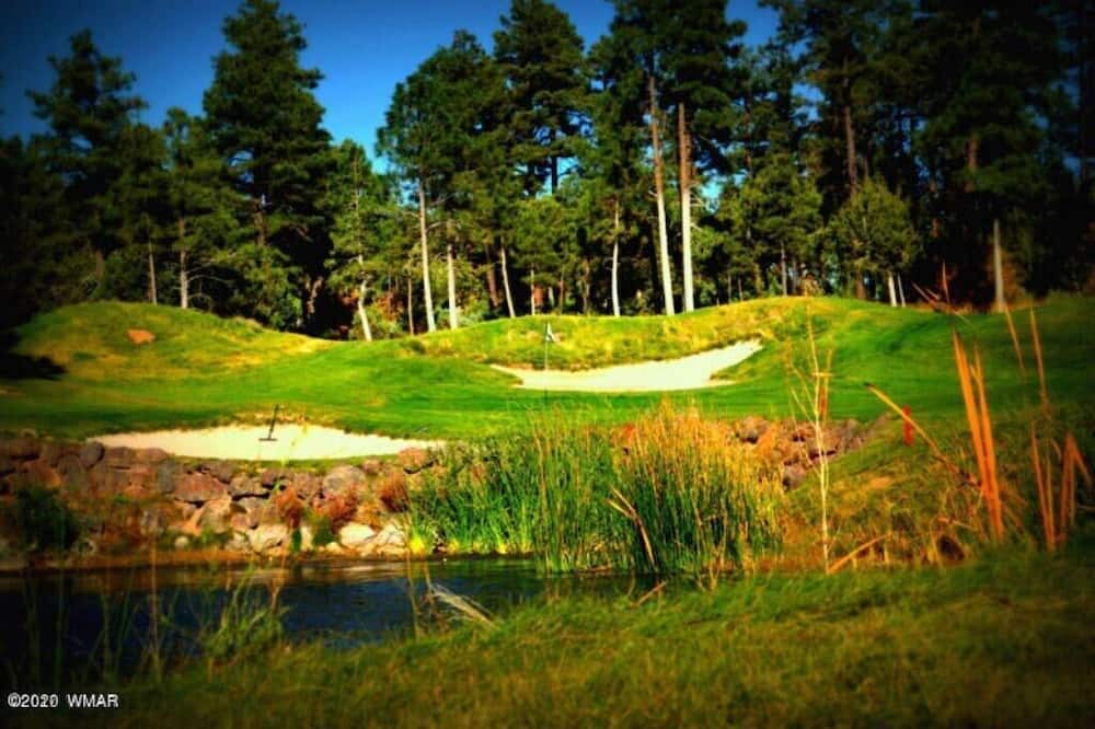 Photo of Others in Pinetop