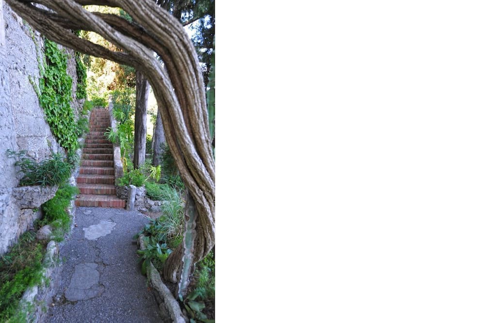 Photo of Others in Ravello