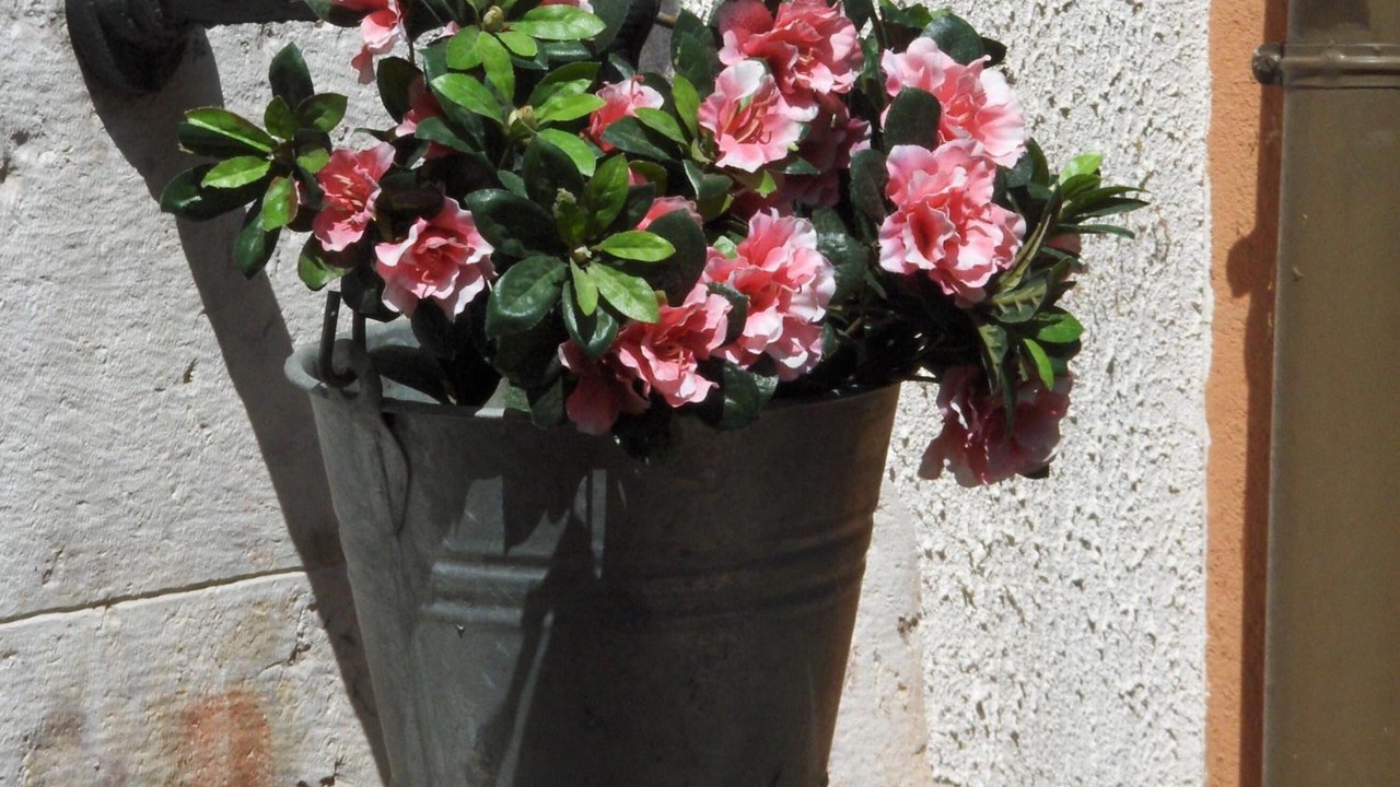 Photo of Outdoor in Pomarolo