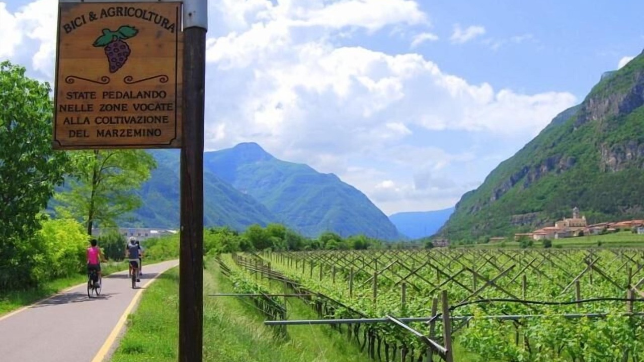 Photo of Outdoor in Pomarolo