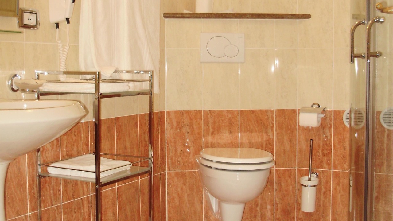 Photo of Bathroom in Predazzo