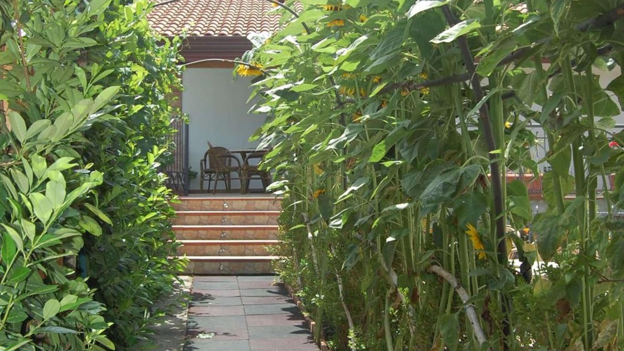 Photo of Outdoor in Bomerano