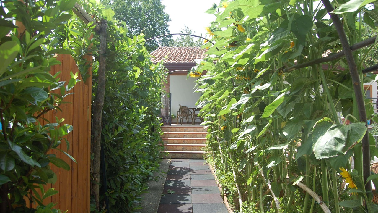Photo of Outdoor in Bomerano
