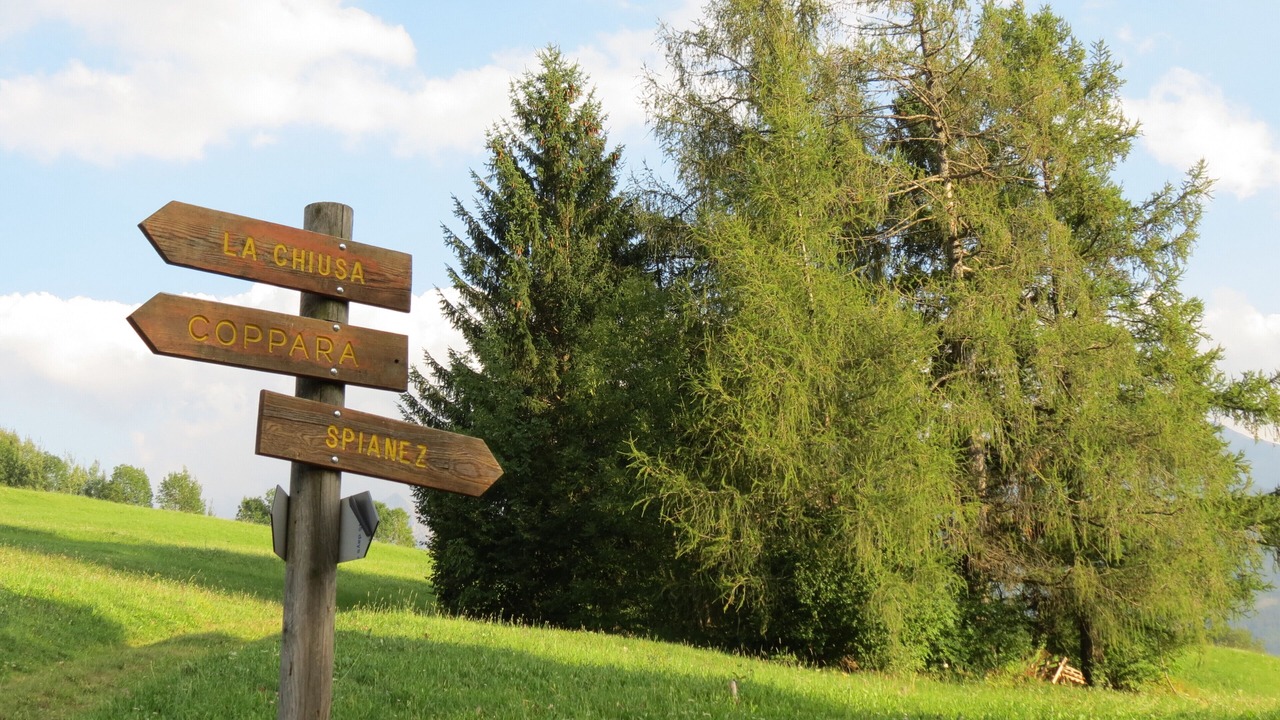 Photo of Outdoor in Varena