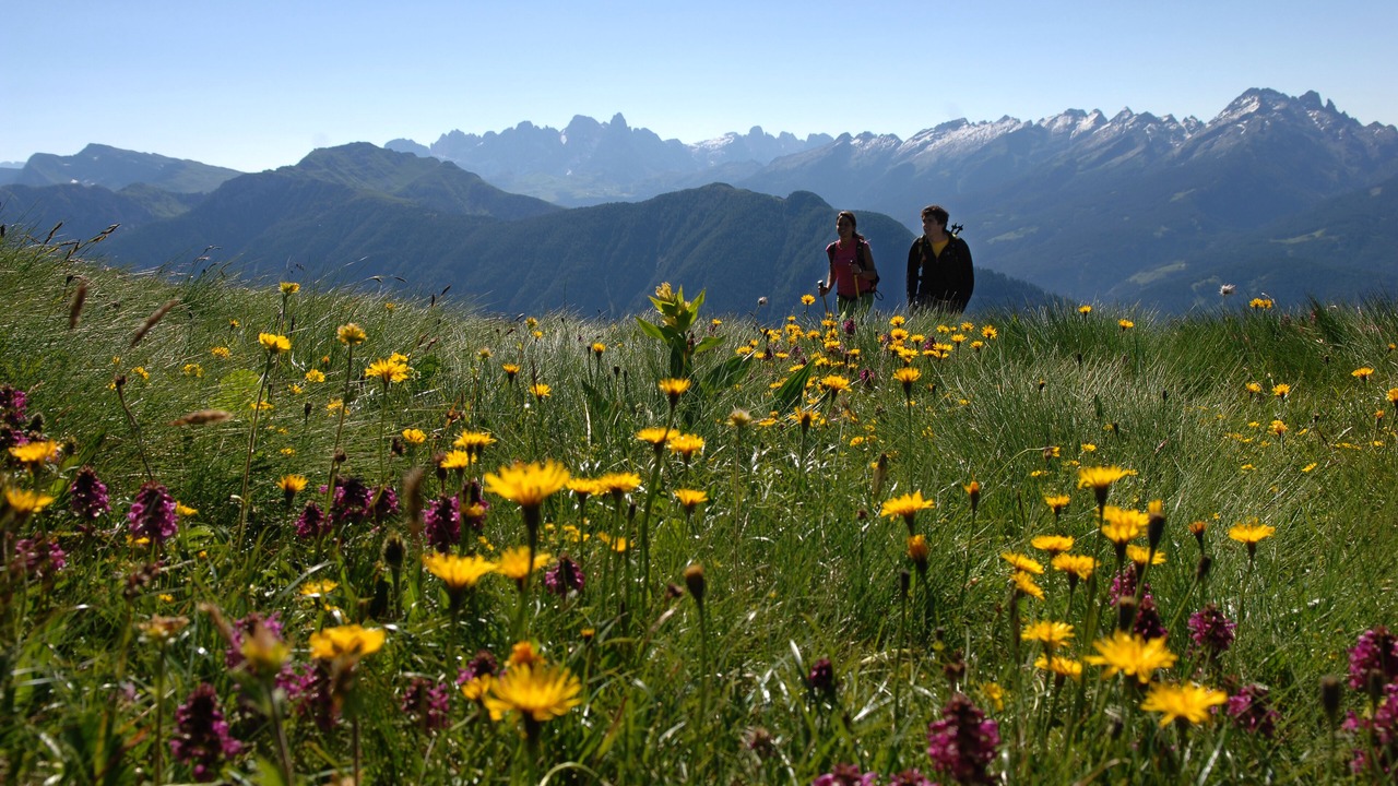 Photo of Outdoor in Varena
