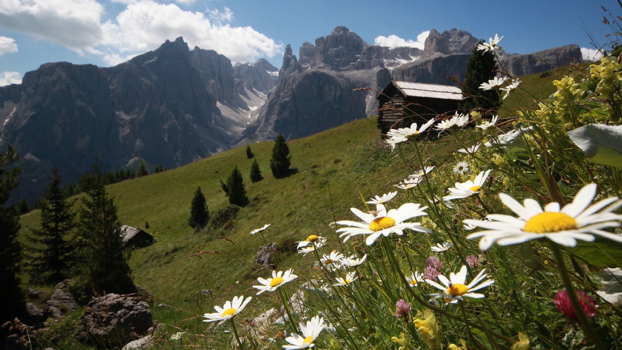 Photo of Outdoor in Armentarola
