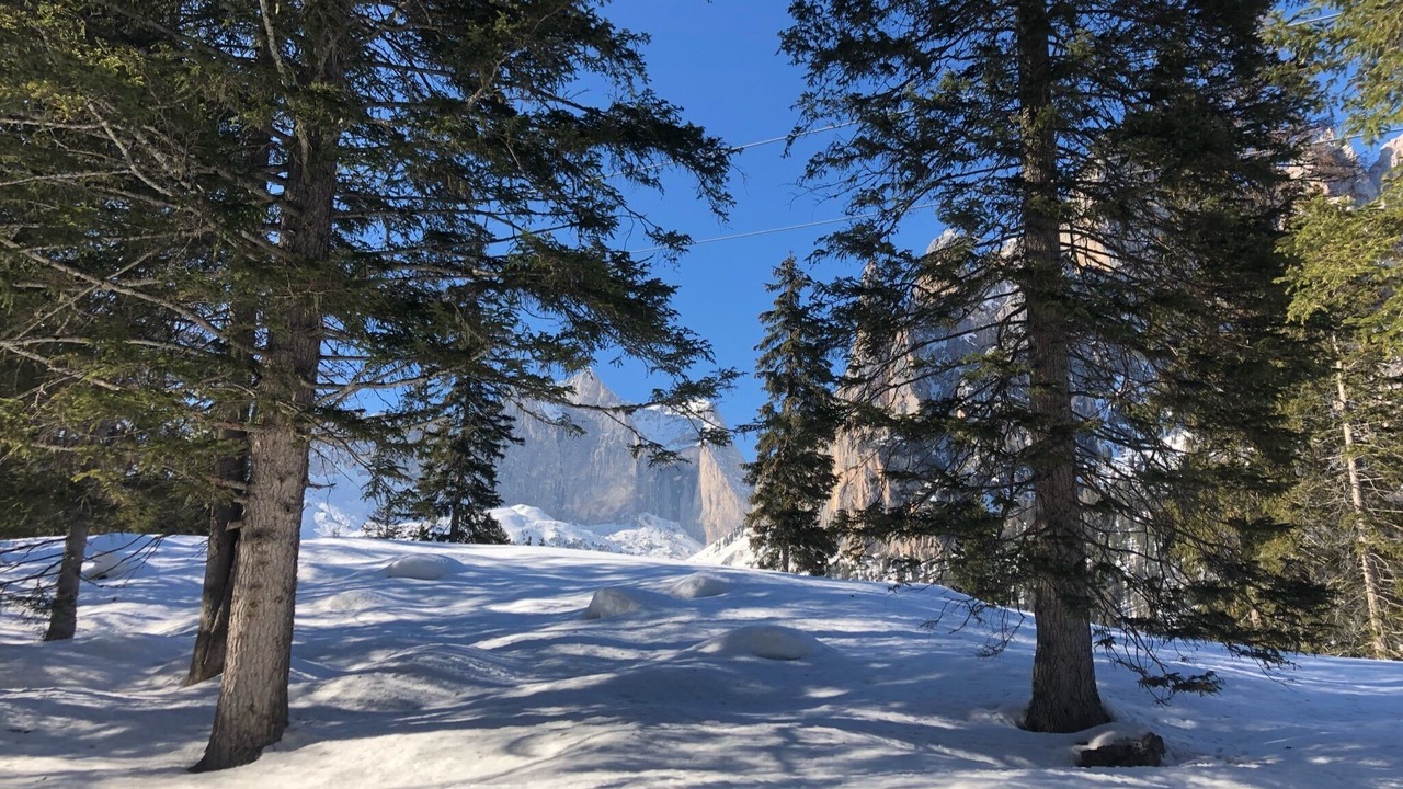 Photo of Others in San Giovanni di Fassa