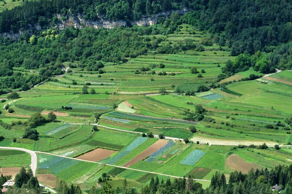 Photo of Others in Ronzo-Chienis