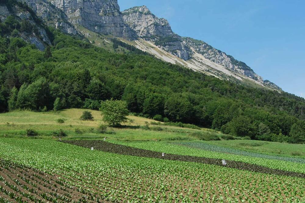 Photo of Others in Ronzo-Chienis