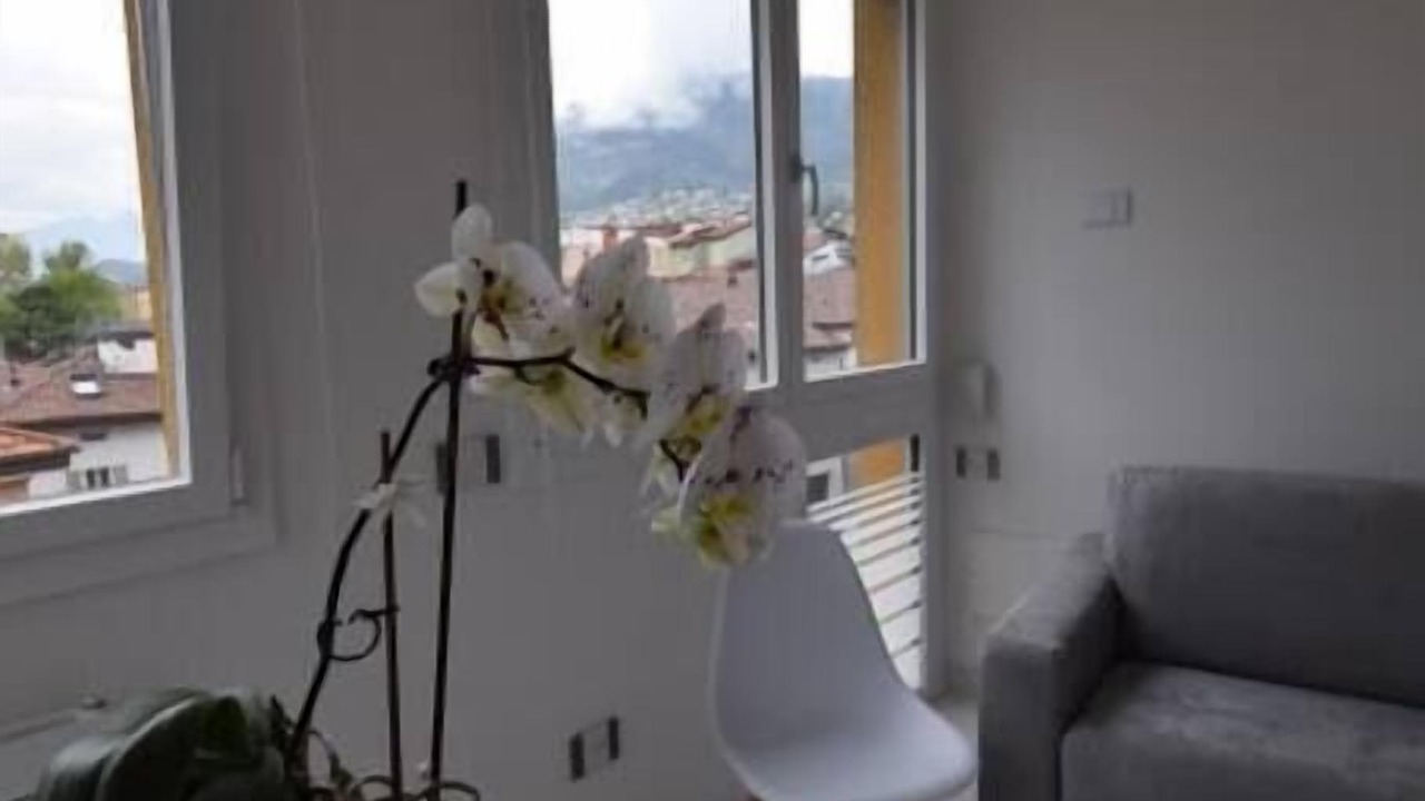 Photo of Others in Trento