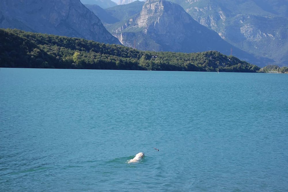 Photo of Others in Pietramurata
