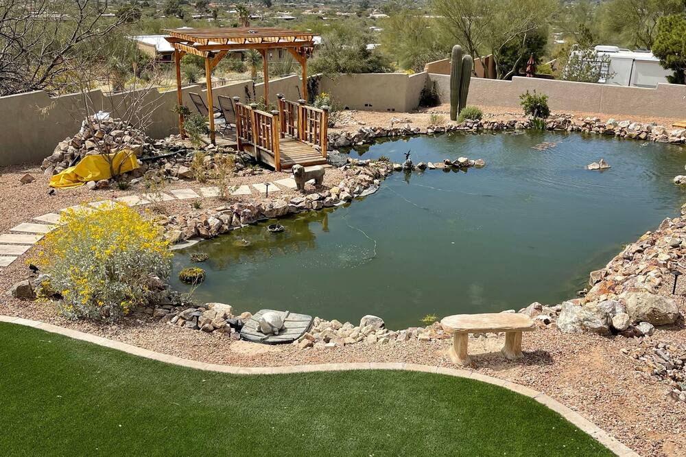 Photo of Outdoor in Tucson