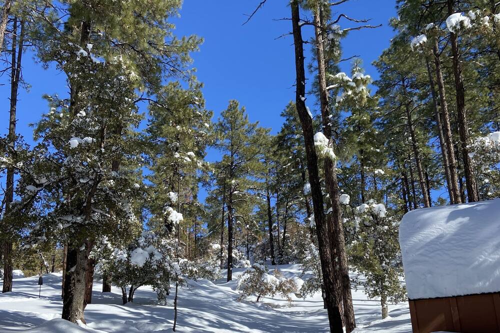 Photo of Outdoor in Highland Pines