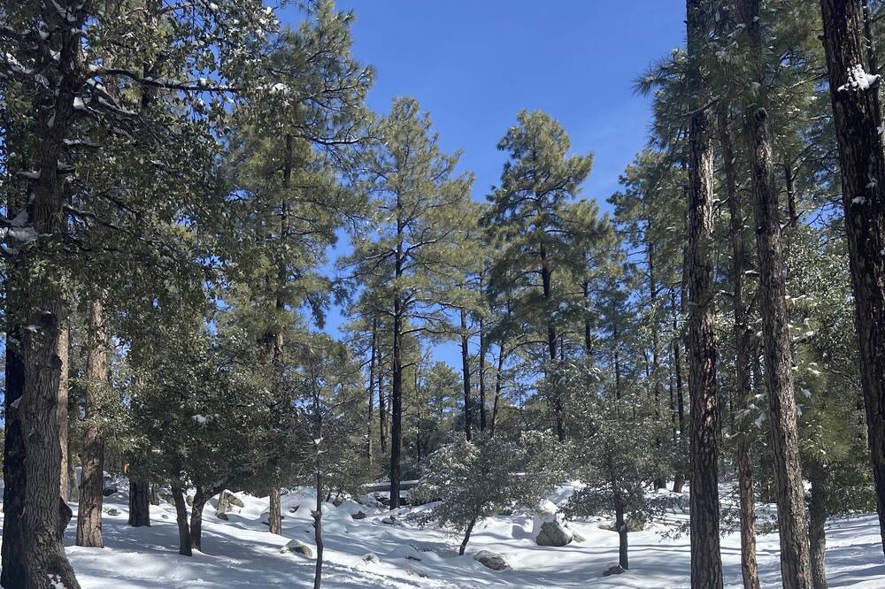 Photo of Outdoor in Highland Pines
