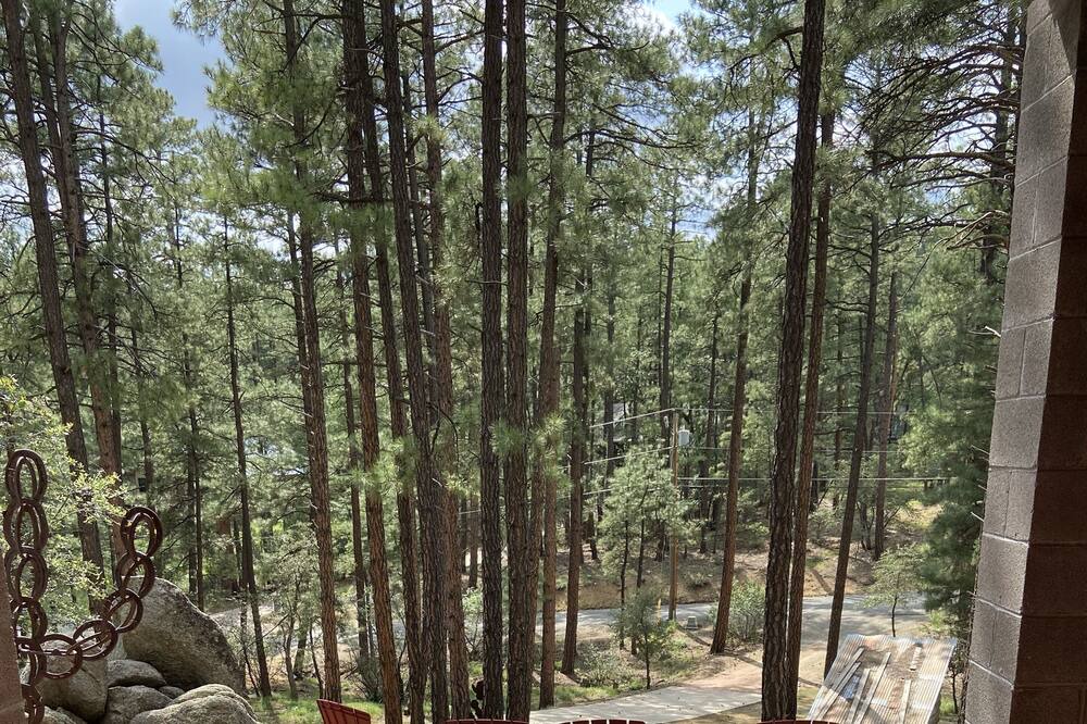 Photo of Outdoor in Highland Pines