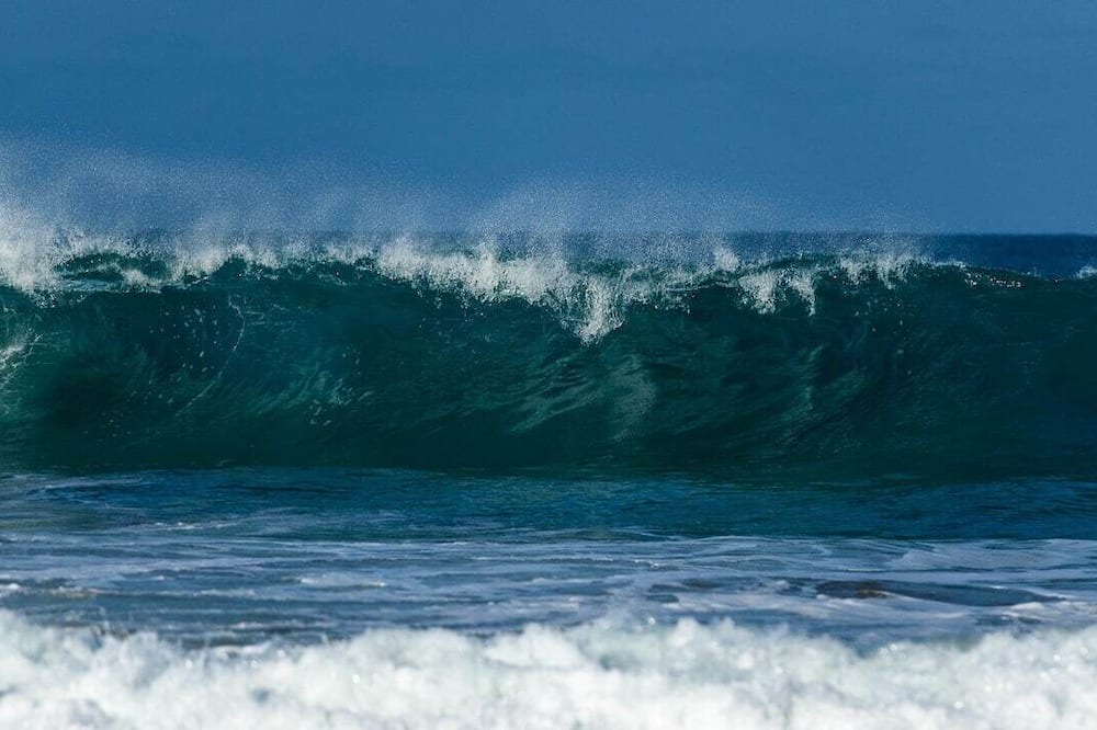 Photo of Others in Palm Beach