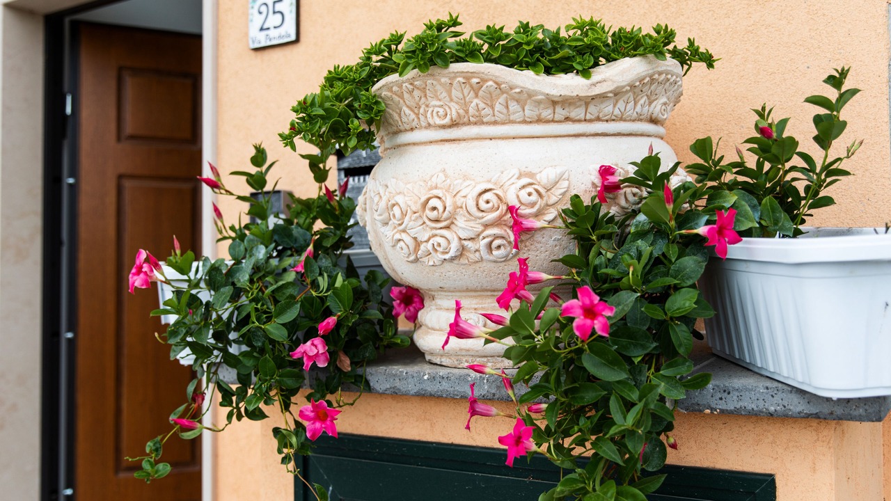 Photo of Outdoor in Agerola