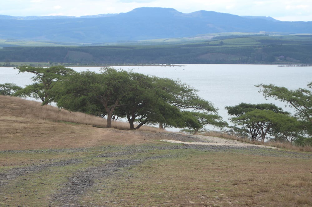Photo of Outdoor in Albert Falls