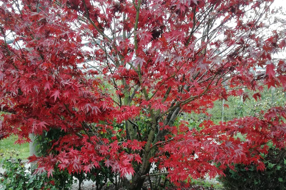 Photo of Outdoor in Laives
