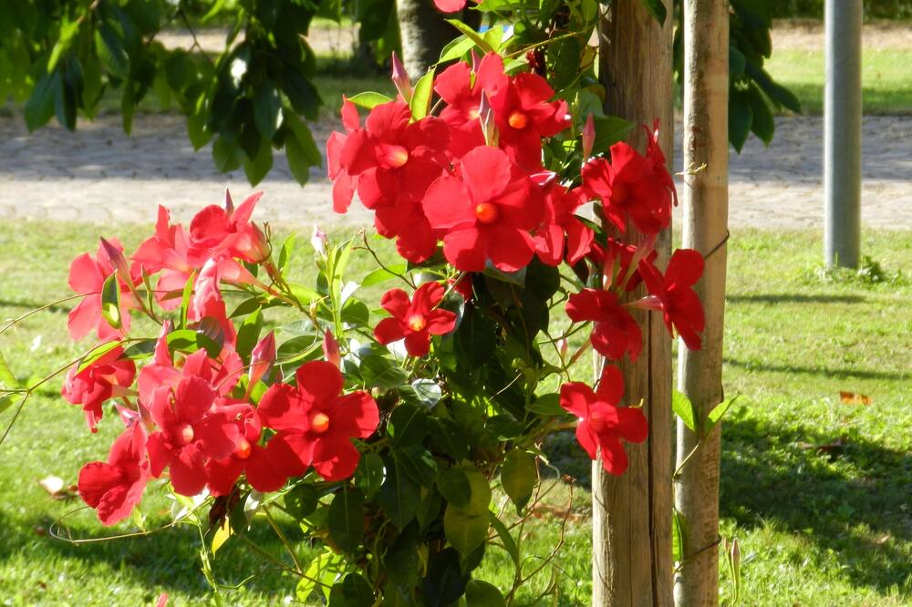 Photo of Outdoor in Laives