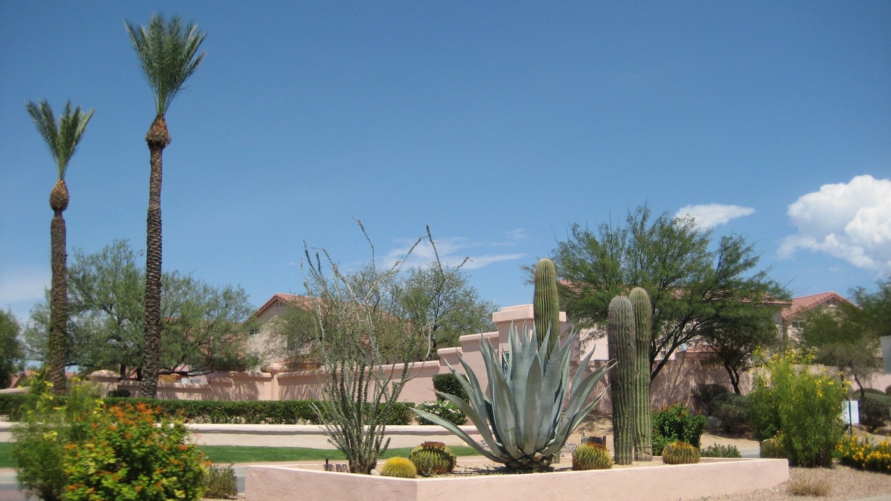 Photo of Outdoor in North Ranch