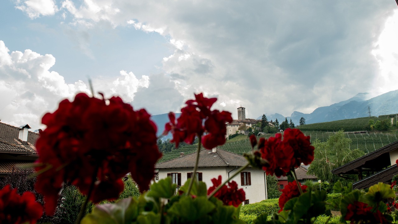 Photo of Patio Balcony in Tassullo
