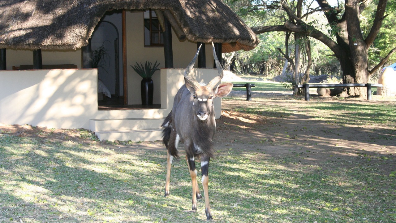 Photo of Outdoor in Hluhluwe