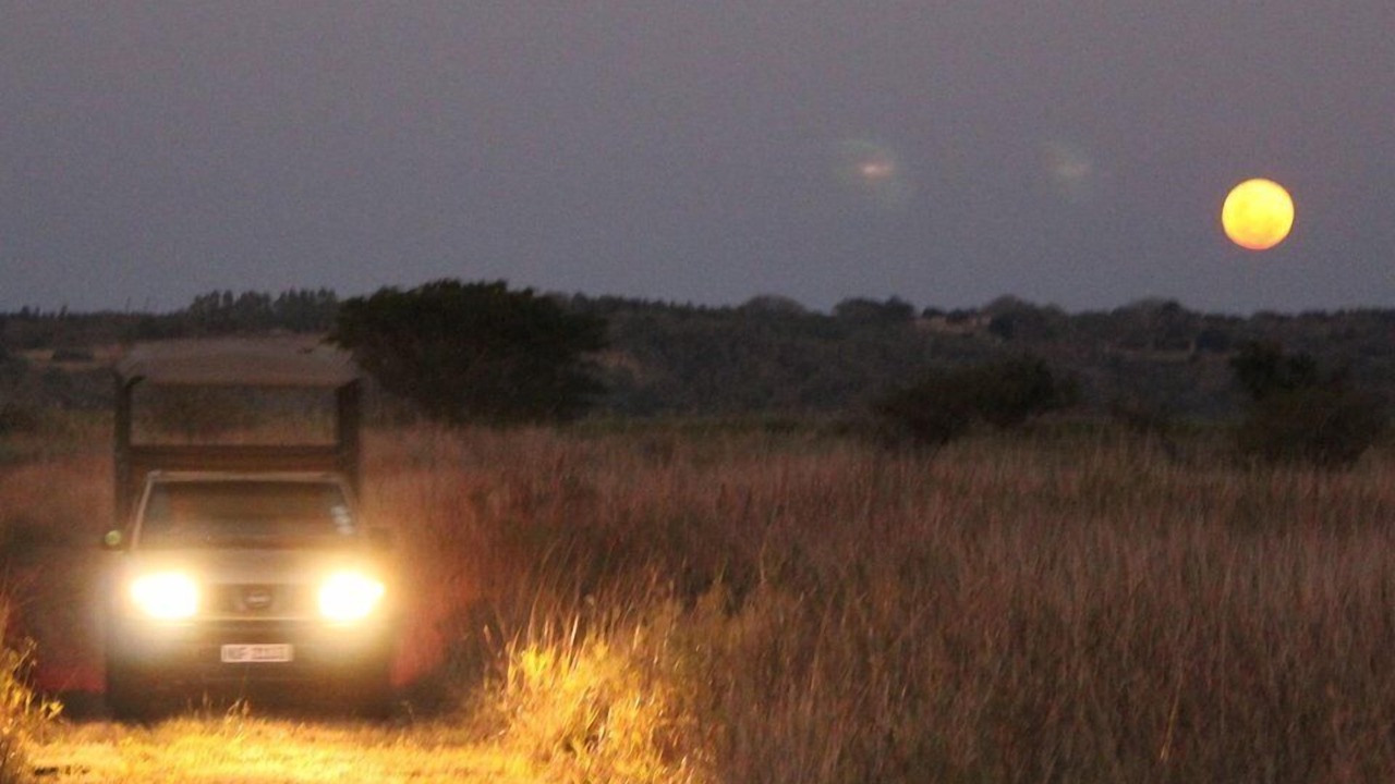 Photo of Others in Hluhluwe