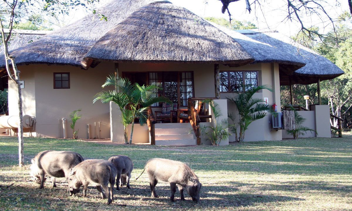 Photo of Outdoor in Hluhluwe