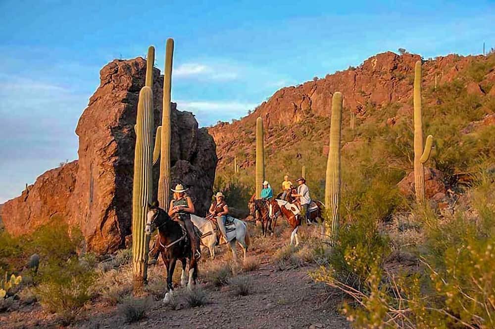 Photo of Others in Palo Verde
