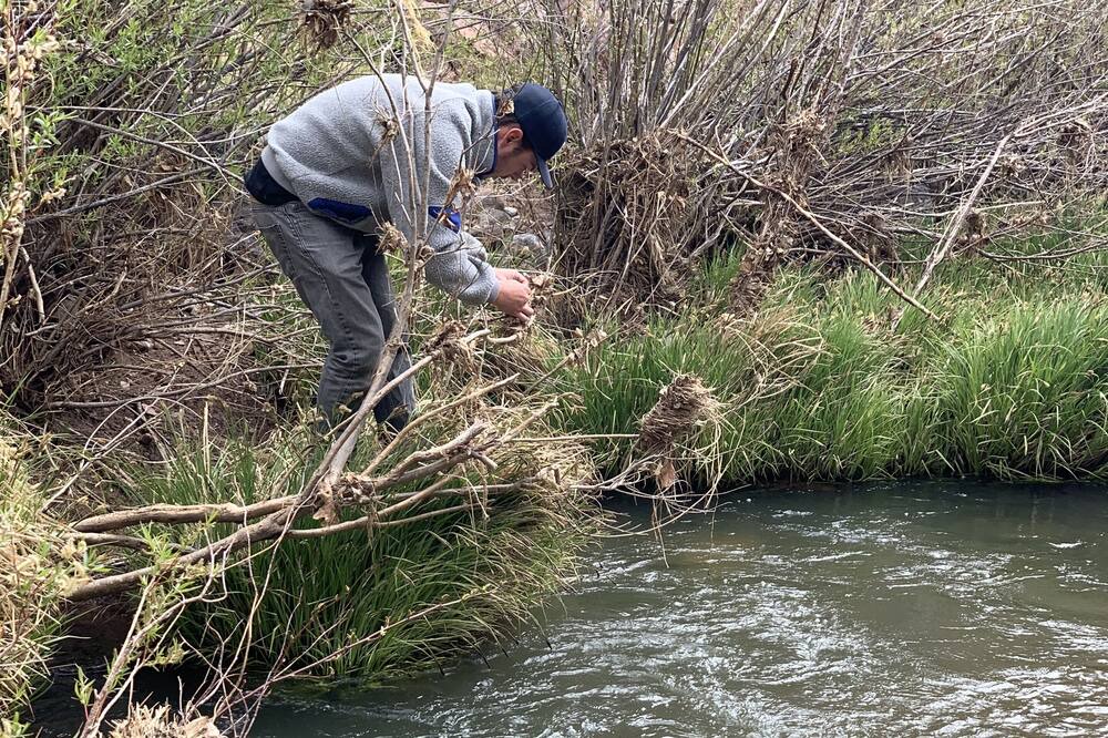 Photo of Others in Kohls Ranch