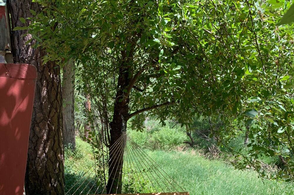 Photo of Outdoor in Kohls Ranch
