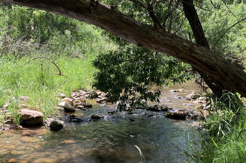 Photo of Others in Kohls Ranch