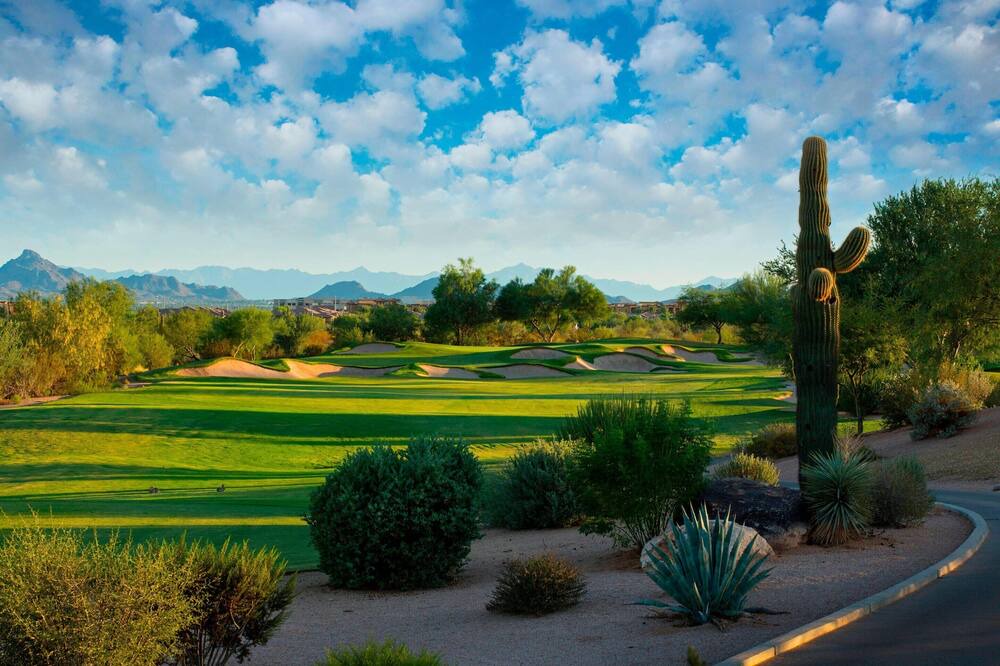 Photo of Others in Desert Ridge