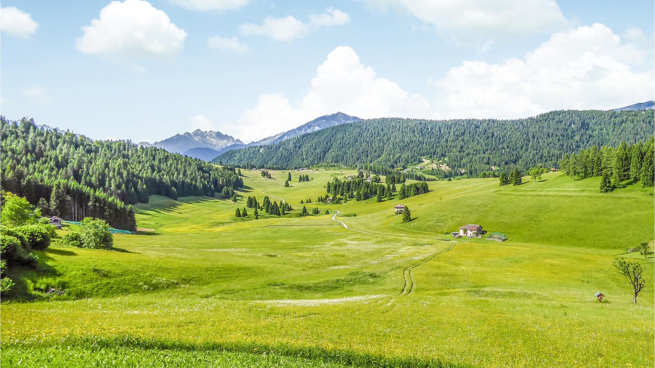 Photo of Outdoor in Vason
