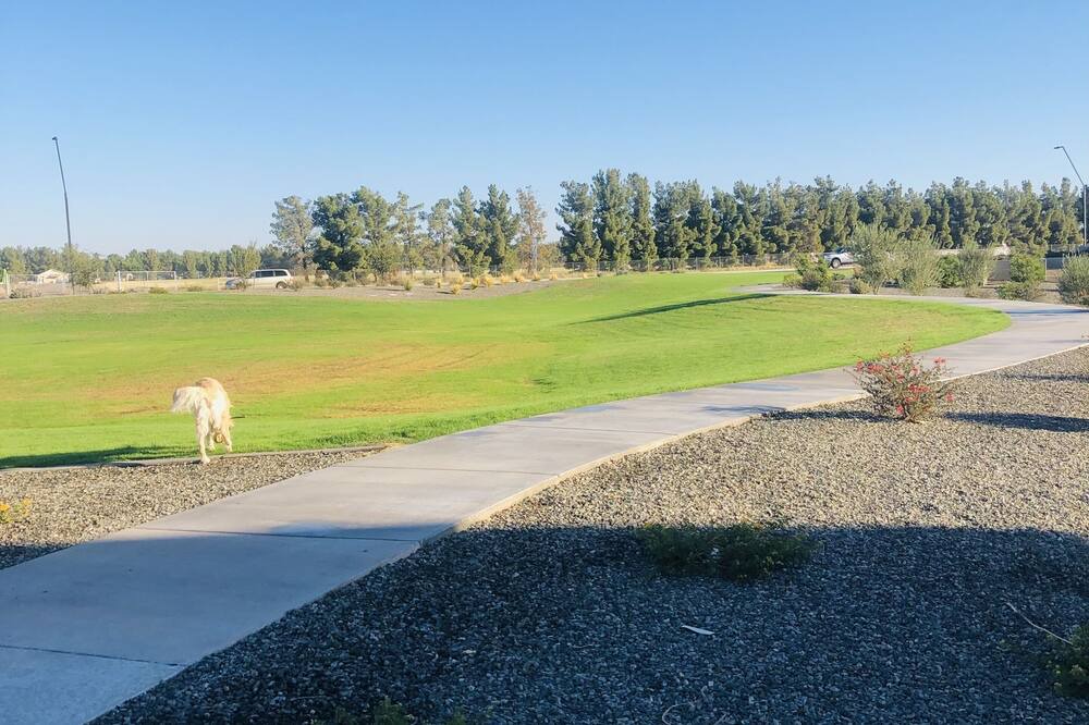 Photo of Others in San Tan Valley