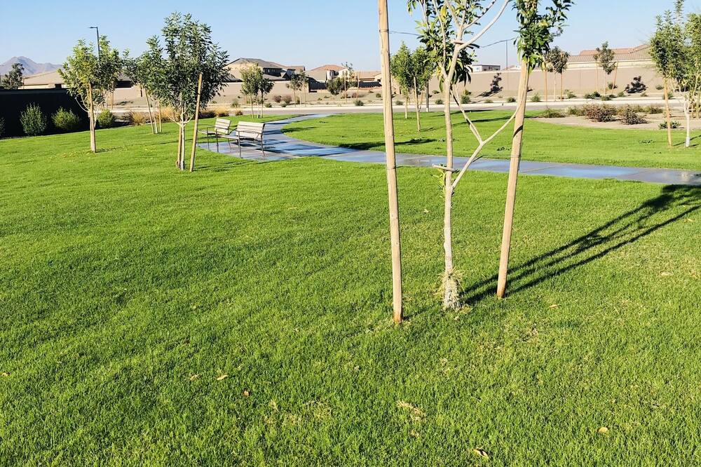 Photo of Others in San Tan Valley
