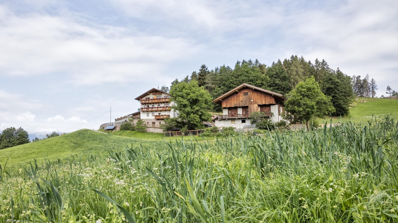 Photo of Outdoor in Verano