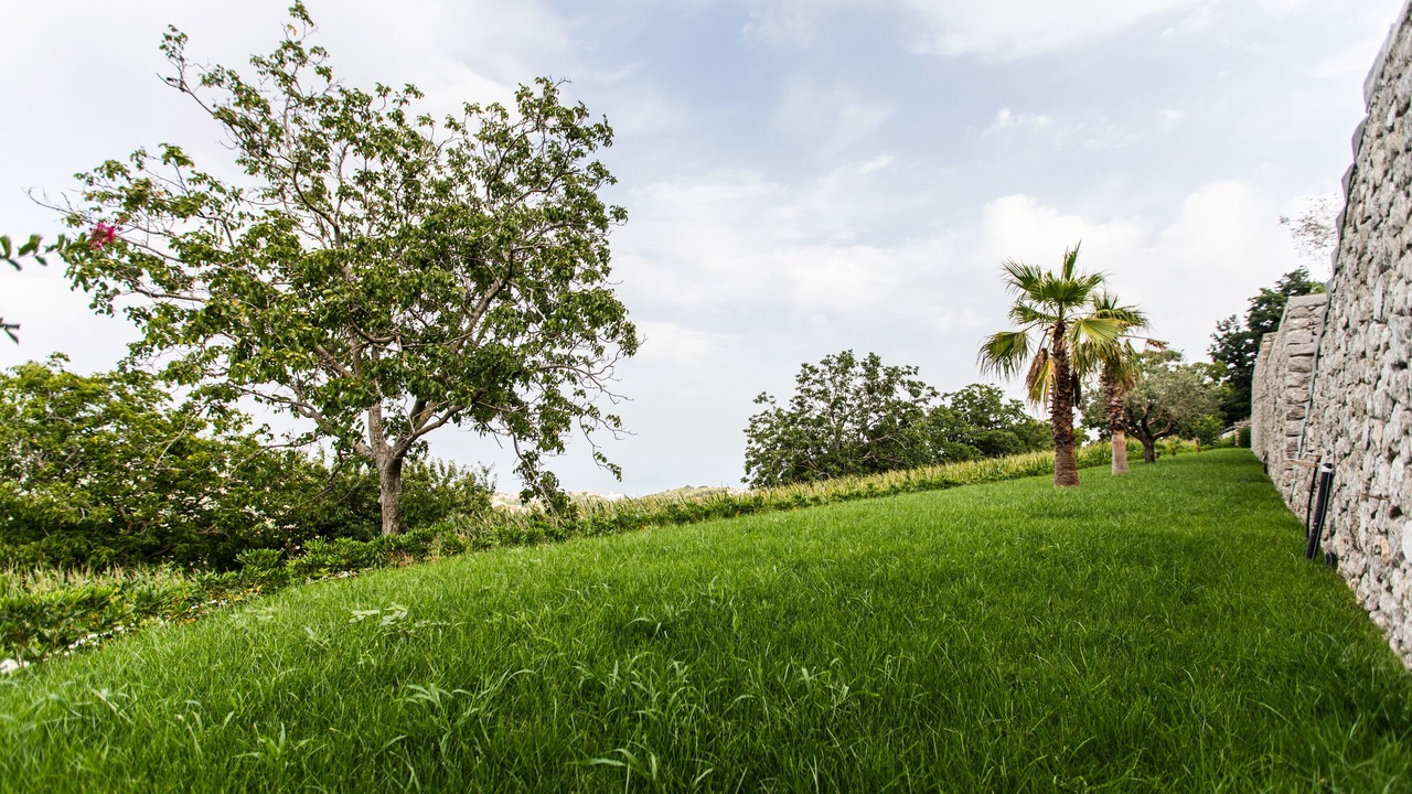 Photo of Outdoor in Agerola